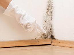 Reliable Grandview, WA Mold Inspection Solutions